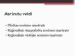 Реферат 'Sabiedriskā transporta izmantošanas politika Latvijā', 29.