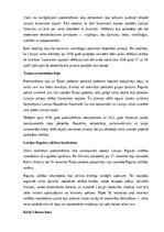 Конспект 'Latvijas Republikas proklamēšanas akts, tā saturs un nozīme', 6.