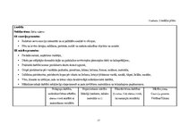 Отчёт по практике 'Mūzikas aktīvās klausīšanās ietekme uz  5-6 gadīgu bērnu emocionālo attīstību', 17.