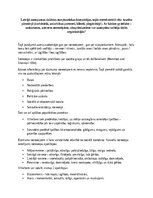 Эссе 'Vadītāja izaicinājumi starpkultūru komunikācijā starptautiskās organizācijās', 1.