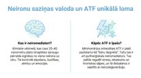 Презентация 'Adenozīntrifosfāts kā smadzeņu un ķermeņa signālmolekula', 2.