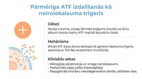 Презентация 'Adenozīntrifosfāts kā smadzeņu un ķermeņa signālmolekula', 9.