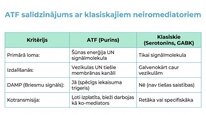 Презентация 'Adenozīntrifosfāts kā smadzeņu un ķermeņa signālmolekula', 12.