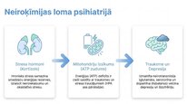 Презентация 'Adenozīntrifosfāts kā smadzeņu un ķermeņa signālmolekula', 15.