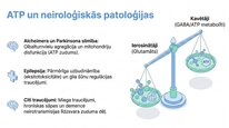 Презентация 'Adenozīntrifosfāts kā smadzeņu un ķermeņa signālmolekula', 16.