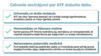 Презентация 'Adenozīntrifosfāts kā smadzeņu un ķermeņa signālmolekula', 24.
