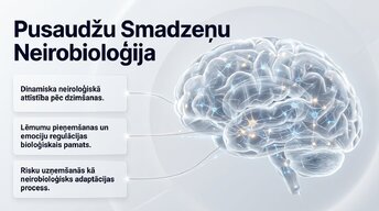 Презентация 'Pusaudžu smadzeņu neirobioloģija', 1.