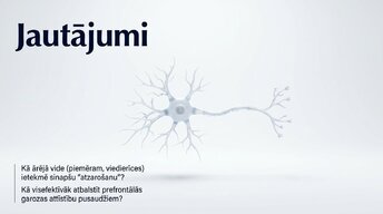 Презентация 'Pusaudžu smadzeņu neirobioloģija', 14.