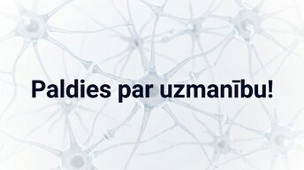 Презентация 'Pusaudžu smadzeņu neirobioloģija', 16.