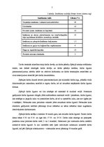 Отчёт по практике '"Cala Galdana Hotel & Villas D’aljandar" restorāna "Es Lauts" darbība', 7.