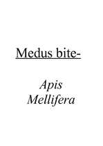 Реферат 'Medus bite', 1.