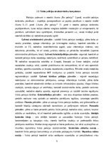 Реферат 'Reidi izglītības iestādēs', 5.