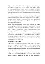 Эссе 'E. Aivara dzejoļu krājuma Vasaras sniegs analīze', 2.