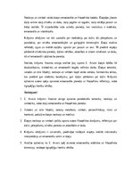 Эссе 'E. Aivara dzejoļu krājuma Vasaras sniegs analīze', 5.