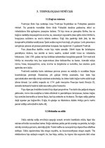 Эссе 'Pārvalde un sociālā struktūra Venēcijā/Dženovā', 5.