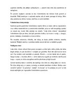 Образец документа 'Valentīndienas scenārijs', 26.
