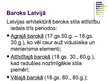 Презентация 'Baroks Latvijā', 13.