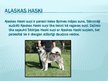 Презентация 'Haski suņi', 6.