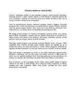 Эссе 'Cenzūras ietekme uz vārda brīvību', 1.