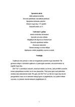 Реферат 'Uzņēmuma - SIA ”Vita” analīze', 5.