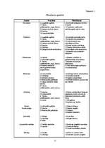 Реферат 'Uzņēmuma - SIA ”Vita” analīze', 12.