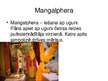 Презентация 'Indiešu kāzu tradīcijas', 9.