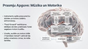 Презентация 'Jaunu prasmju apguves neirobioloģija', 11.