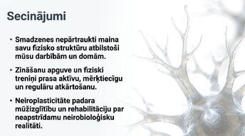 Презентация 'Jaunu prasmju apguves neirobioloģija', 13.