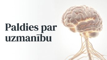 Презентация 'Jaunu prasmju apguves neirobioloģija', 16.