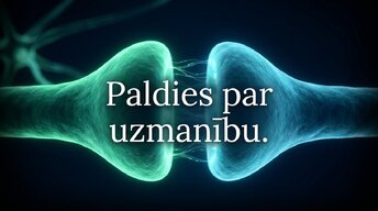 Презентация 'Neiroplastiskuma loma atkarības veidošanā un atveseļošanās procesā', 14.