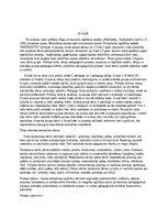 Отчёт по практике 'Pirmsskolas pedagoģiska prakse dienasgramata', 2.