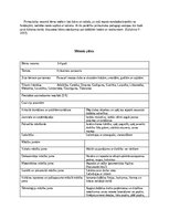 Отчёт по практике 'Pirmsskolas pedagoģiska prakse dienasgramata', 5.