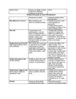 Отчёт по практике 'Pirmsskolas pedagoģiska prakse dienasgramata', 7.