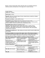 Отчёт по практике 'Pirmsskolas pedagoģiska prakse dienasgramata', 14.