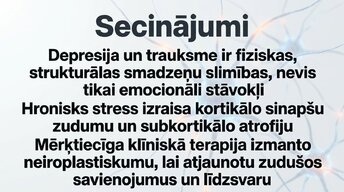 Презентация 'Kognitīvo funkciju un smadzeņu arhitektūras izmaiņas', 14.