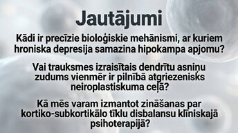 Презентация 'Kognitīvo funkciju un smadzeņu arhitektūras izmaiņas', 16.