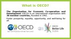 Презентация 'OECD Better life index', 2.