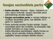 Презентация 'Īpaši aizsargājamās dabas teritorijas Latvijā', 19.
