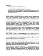 Отчёт по практике 'Prakses atskaite AS "NORD/LB Latvija"', 23.