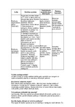 Конспект 'Prakse II sākumskola 1.-3.kl', 22.