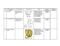 Конспект 'Ķermeņa kopšanas līdzekļa "Bioderma Hydrabio Legere" sastāva analīze', 5.