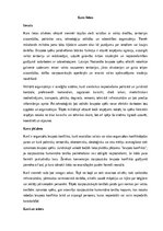 Реферат 'Kara lietas', 1.