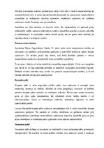 Реферат 'Kara lietas', 2.
