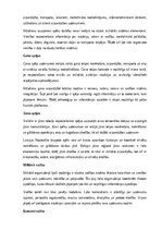 Реферат 'Kara lietas', 3.