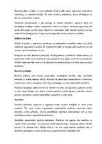 Реферат 'Kara lietas', 4.