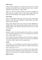 Реферат 'Kara lietas', 5.