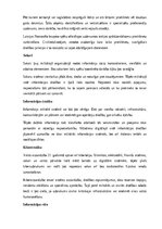 Реферат 'Kara lietas', 7.