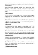 Реферат 'Kara lietas', 9.