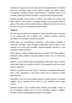 Реферат 'Kara lietas', 22.
