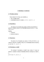 Реферат 'Matricas un to saistība ar lineāru vienādojumu sistēmu atrisināšanu', 5.